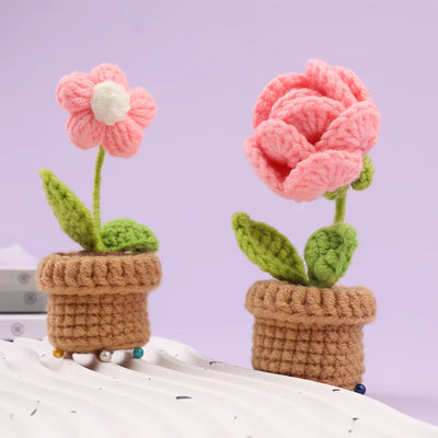 6pcs Crochet Potted Flower Kit for Beginners