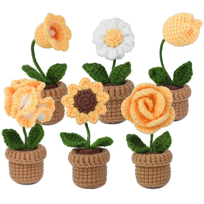 6pcs Crochet Potted Flower Kit for Beginners