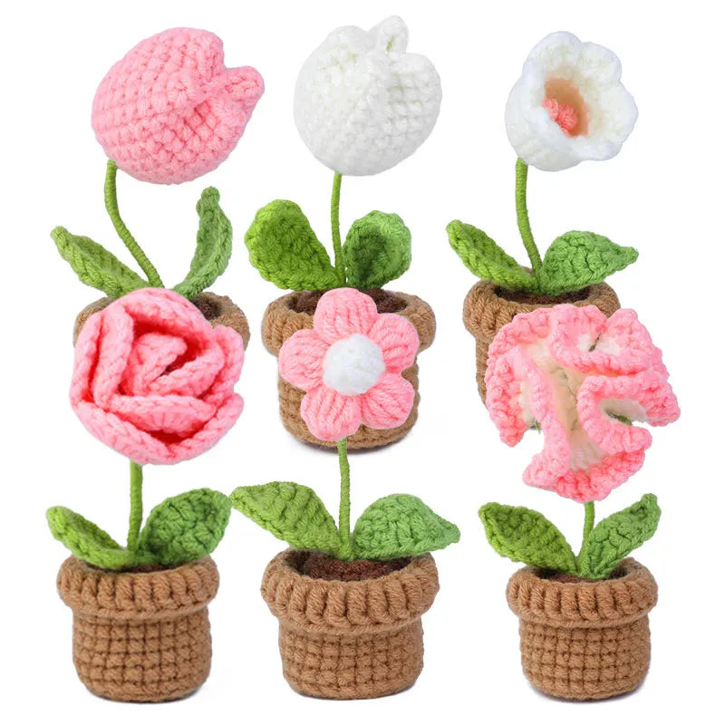6pcs Crochet Potted Flower Kit for Beginners