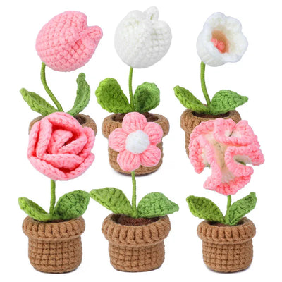 6pcs Crochet Potted Flower Kit for Beginners