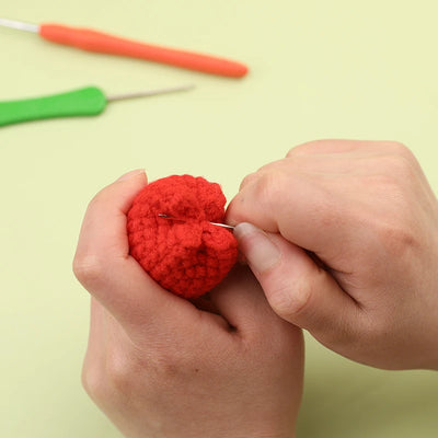 6pcs Crochet Potted Flower Kit for Beginners