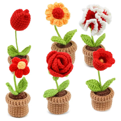 6pcs Crochet Potted Flower Kit for Beginners